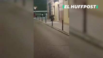 'Cazado' un hombre realizando pintadas en la fachada del PSOE en Badajoz