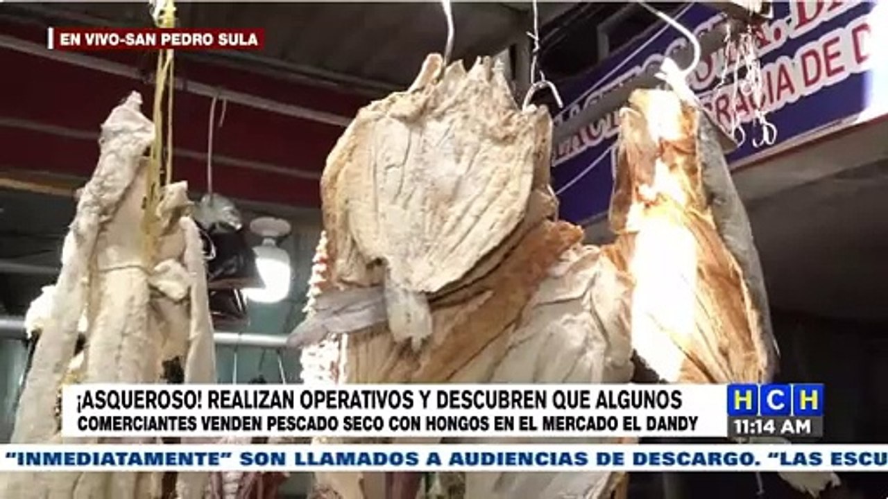 ¡Comerciantes groseros! Siguen decomisos de pescado seco "juco" en mercados; esta vez en SPS