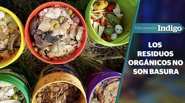 Composta: Recolección de residuos orgánicos | Documento Indigo