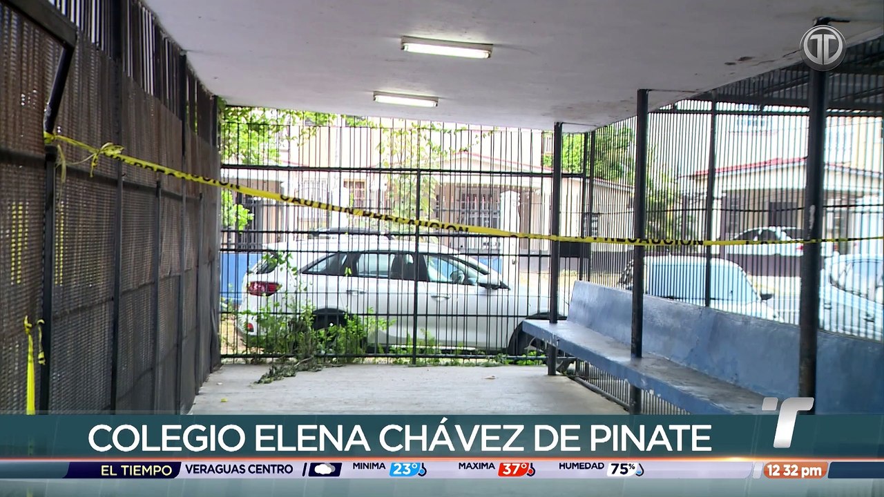 PASE VIOLA.mp4