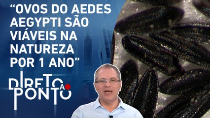 Gorinchteyn: “Fizemos alertas sobre dengue desde setembro de 2023” | DIRETO AO PONTO