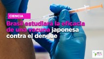 Brasil estudiará la eficacia de una vacuna japonesa contra el dengue