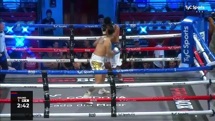 Gabriel Omar Diaz vs Nestor David Campos (02-02-2024) Full Fight