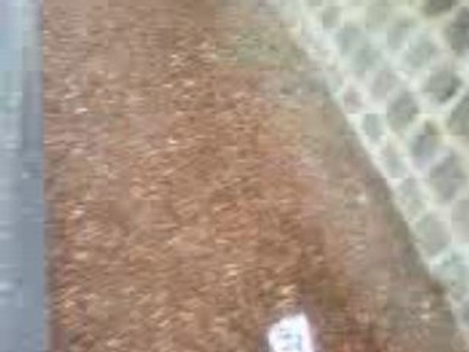 Vidéo0207