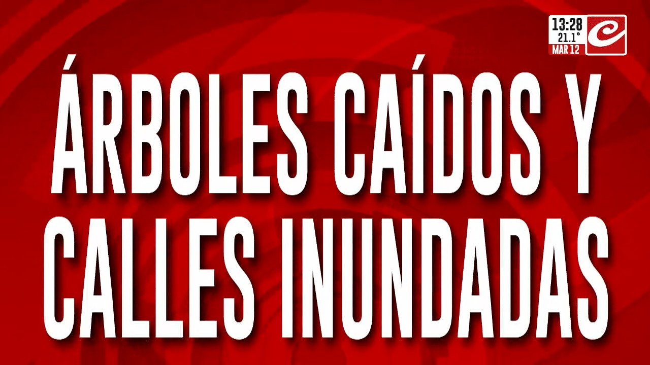 El fuerte temporal dejó árboles caídos y calles inundadas en todo el país