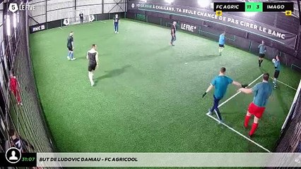 But de Ludovic DANIAU - FC AGRICOOL