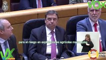 Ángel Pelayo Gordillo. Pregunta sobre Sector Primaro a Mtro de Agricultura. Pleno de 12.03.2024
