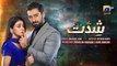 Shiddat Episode 11 - [Eng Sub] - Muneeb Butt - Anmol Baloch - 11th March 2024 - HAR PAL GEO (1)