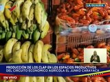 Circuito Económico El Junko-Carayaca produce 21 rubros para el bienestar alimentario del edo. La Guaira