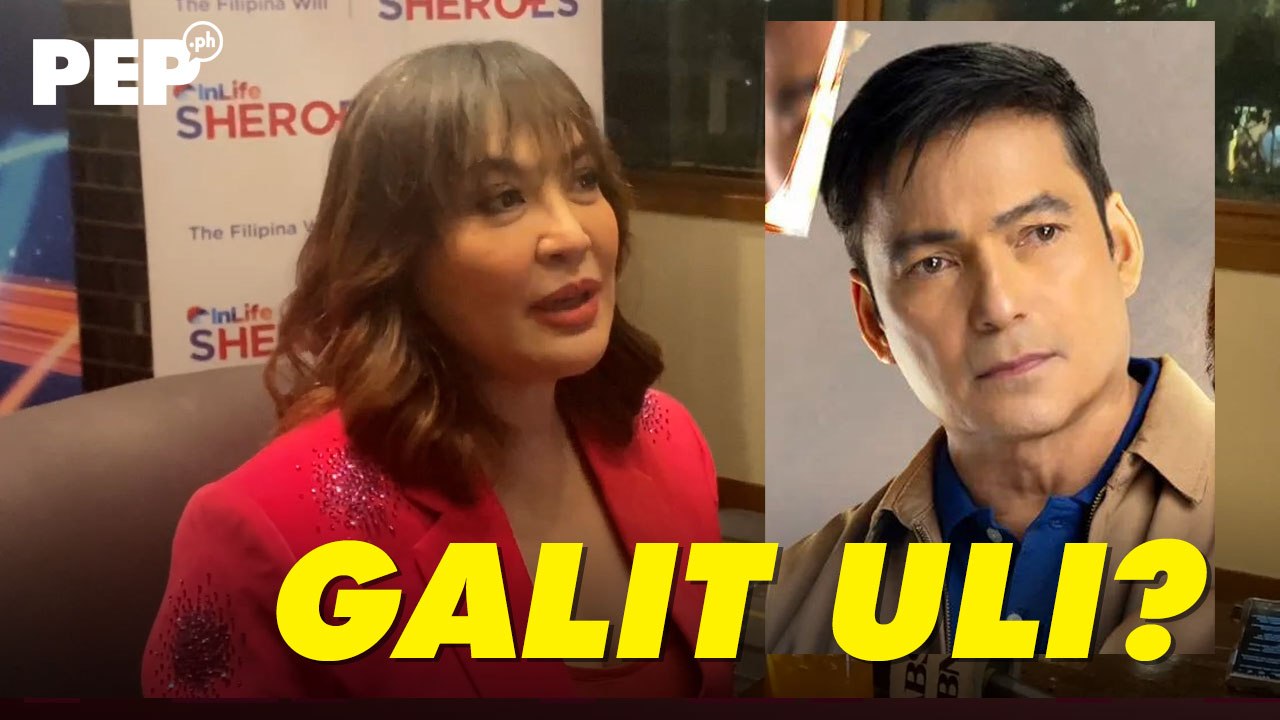 Sharon Cuneta, bakit nagpahaging kay Gabby Concepcion? | PEP Interviews