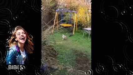 Vidéo drole Compilation Des Moments Les Plus Drôles de l'année 