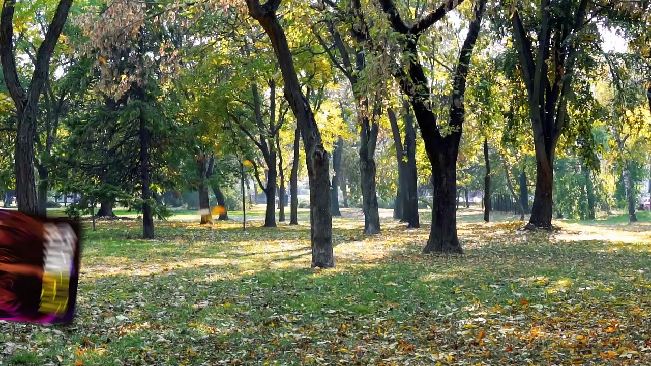 Alpha Males Season 2 Ending Explained | Alpha Males Season 2 | macho alfa netflix season 2