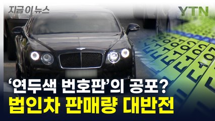 법인차에 '연두색 번호판' 도입했더니...'세상에' [지금이뉴스] / YTN
