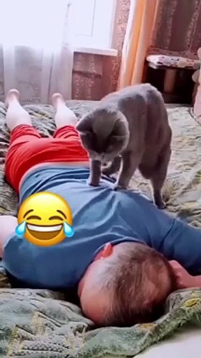 My cat is very helpful
