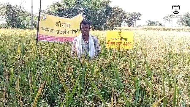 Shriram Super 4466 - More Rice, Better Quality, Starting Today