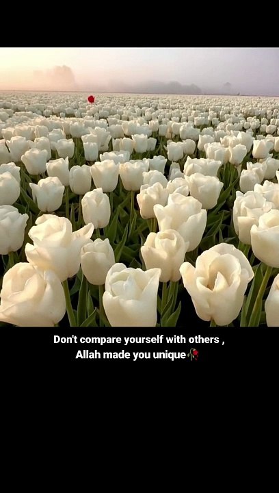 Allah Made You Unique 