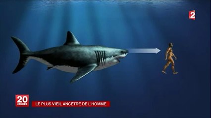 Un petit poisson ancêtre de l'homme