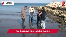 Mersin'de sahiller denizanası ile doldu