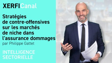 Stratégies de contre-offensives sur les marchés de niche dans l'assurance dommages [Philippe Gattet]