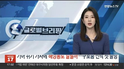 기아 위기 가자지구에 해상통로 열릴까…'구호품 선박' 첫 출항