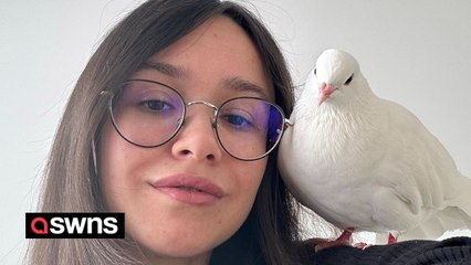 "I have a pet pigeon - it lives in my apartment and kisses and cuddles me"