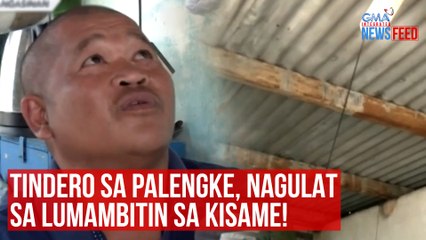 Tindero sa palengke, nagulat sa lumambitin sa kisame! | GMA Integrated Newsfeed