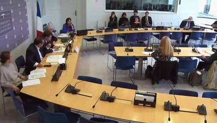 Commission des affaires européennes : Protection européenne du consommateur - Mercredi 13 mars 2024