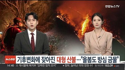 기후변화에 잦아지는 대형 산불…"올봄도 방심 금물"