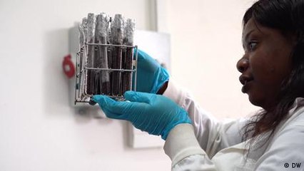 Adjata Kamara: Fighting yam rot