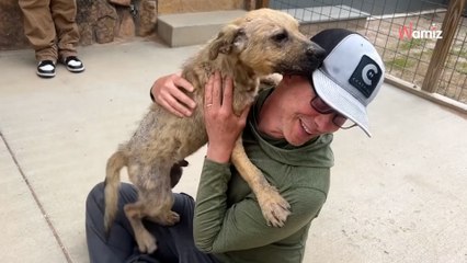 Dieser Hund schäumt über vor Freude, als er versteht, was gleich geschieht (Video)