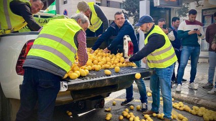 Los agricultores lanzan limones.
