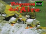 Enciclopedia de Animales: Payasos del aire - Documental (1993) Español Latino