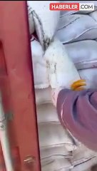 Skandal görüntülerin sahibi Oba Makarna'dan açıklama