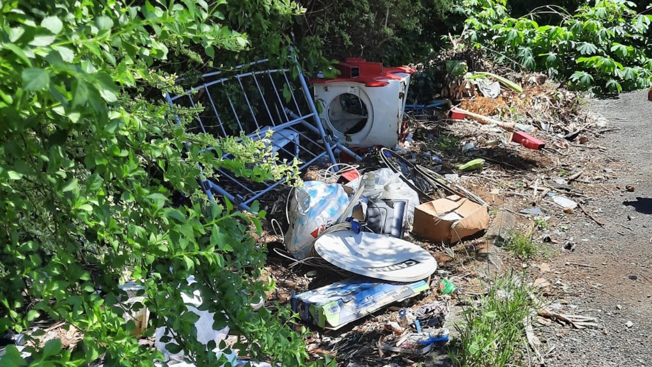 "Mieux vaut voir des plantes vertes que des carcasses de véhicules"