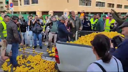 Los agricultores vuelcan un camión de naranjas en Málaga