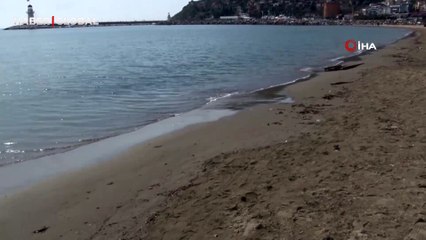 Alanya'da görenleri tedirgin eden manzara: Ölü halde karaya vurdular!