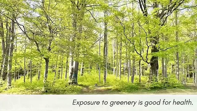 HEALTHY HABITS： 10 daily habits that changed my life