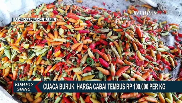 Gagal Panen Akibat Cuaca Buruk, Harga Cabai Meroket!