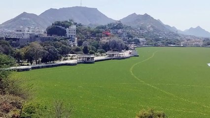यह आईपीएल का क्रिकेट ग्राउंड नहीं... जलकुंभी के जाल में तब्दील आनासागर झील है