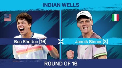 Sinner sinks Shelton to continue winning streak