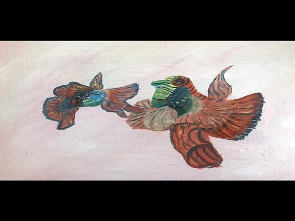 Mon Diaporama- Les signes de Zodiaque