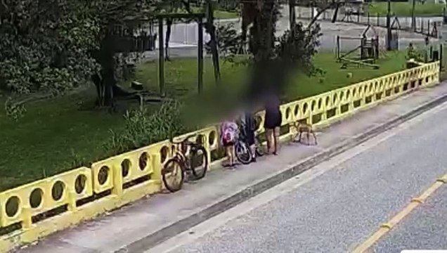 VÍDEO: Mulher atira cachorro de ponte em frente aos filhos
