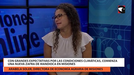 “Misiones es la única provincia en todo el país en producir fécula de mandioca”, destacaron desde el agro