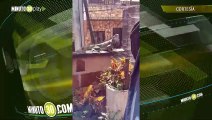 Bomberos recataron una iguana que estaba al borde de un balcón en Caldas