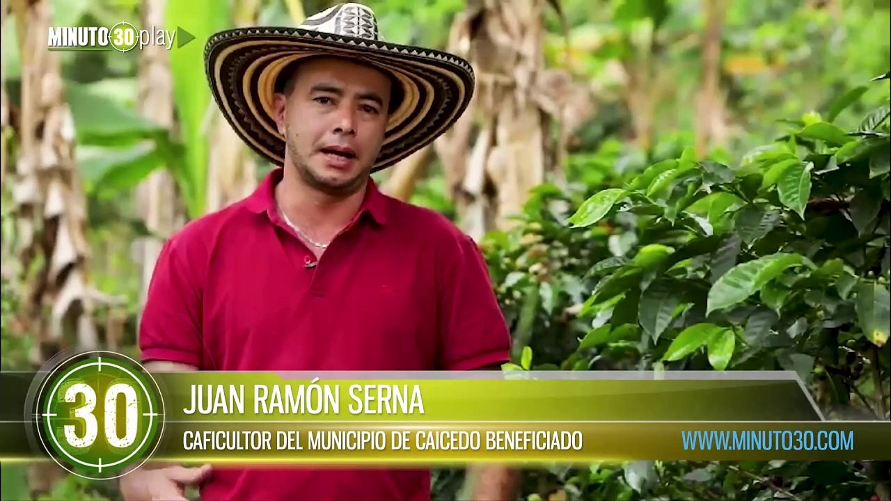 Antioquia tiene más de 100 nuevas familias caficultoras con corazón ambiental