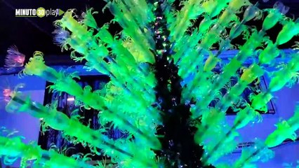 La belleza de alumbrado de una cuadra del barrio Porvenir de Rionegro