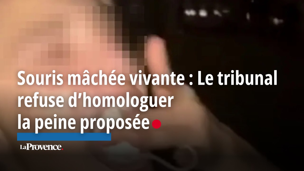 Souris mâchée vivante par un étudiant du lycée Thiers : un procès aura bien lieu à Marseille