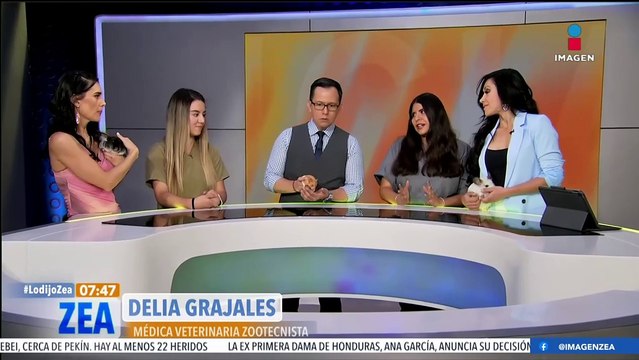 Roedores como mascotas: Alimentación, cuidados y enfermedades