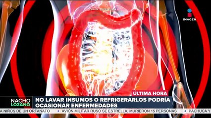 Enfermedades durante época de calor