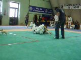 Judo competition Grand prix minimes